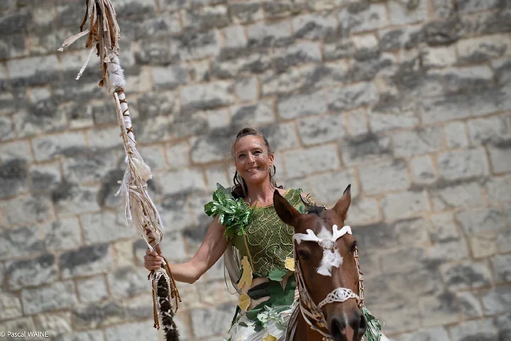 Saumur Cheval Festival - Th&eacute;&acirc;tre Caballicare - Photo n°1