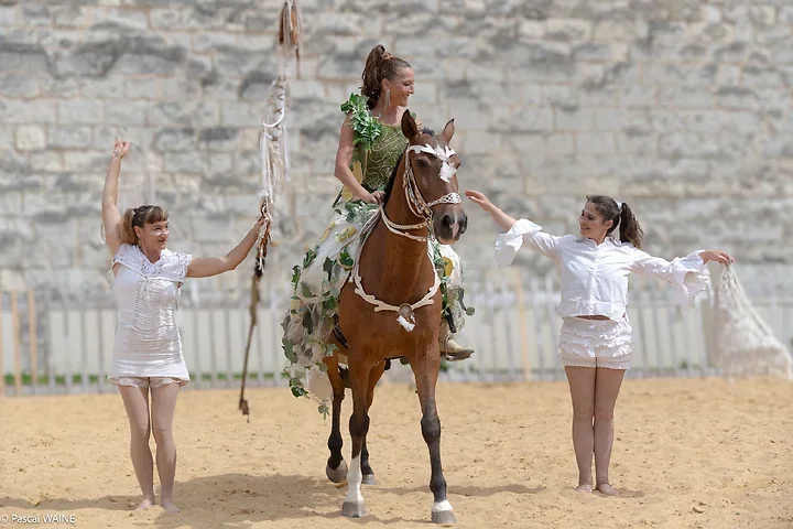 Saumur Cheval Festival - Th&eacute;&acirc;tre Caballicare - Photo n°2