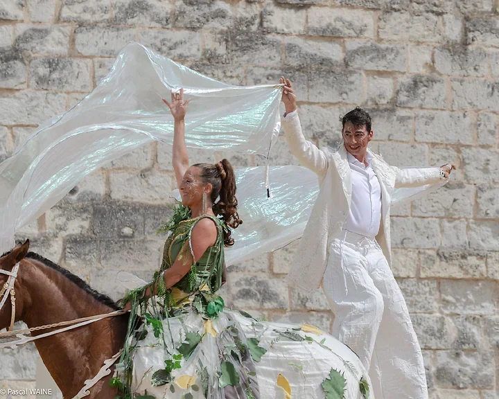 Saumur Cheval Festival - Th&eacute;&acirc;tre Caballicare - Photo n°6