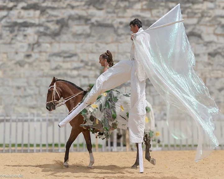 Saumur Cheval Festival - Th&eacute;&acirc;tre Caballicare - Photo n°7