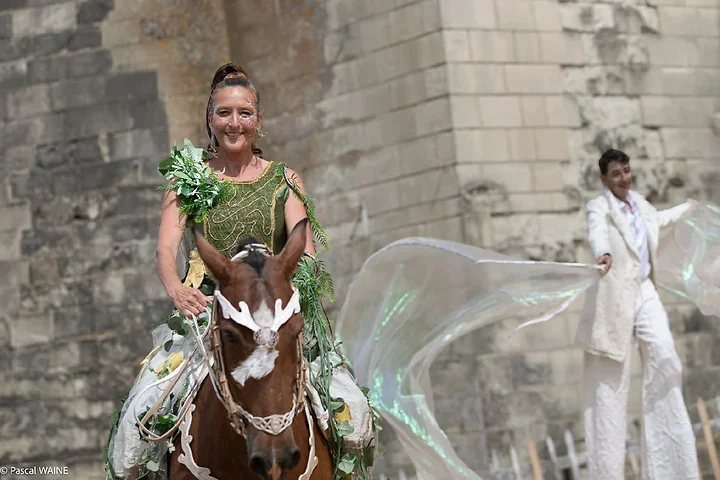 Saumur Cheval Festival - Th&eacute;&acirc;tre Caballicare - Photo n°8