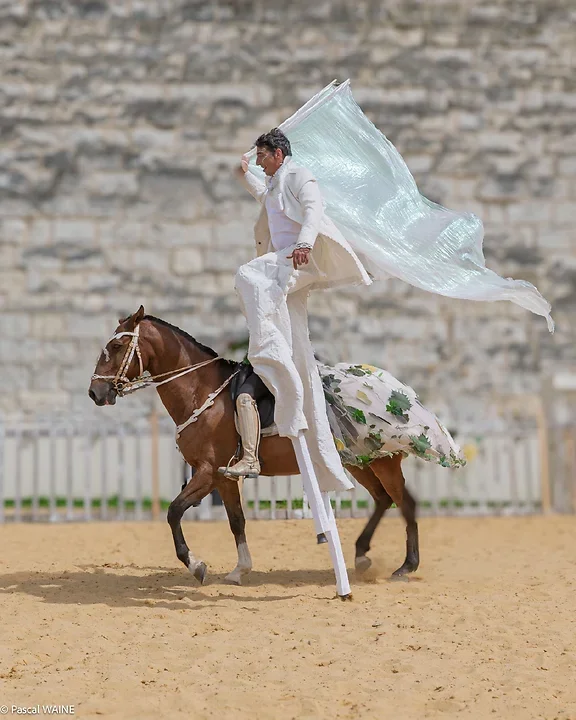 Saumur Cheval Festival - Th&eacute;&acirc;tre Caballicare - Photo n°11