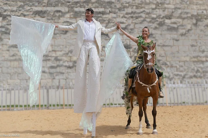 Saumur Cheval Festival - Th&eacute;&acirc;tre Caballicare - Photo n°12